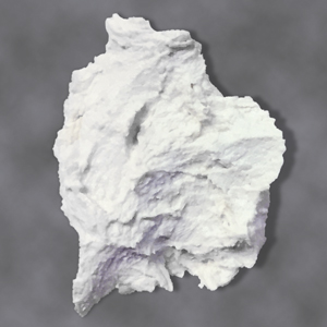 Proteinpaste Eingang